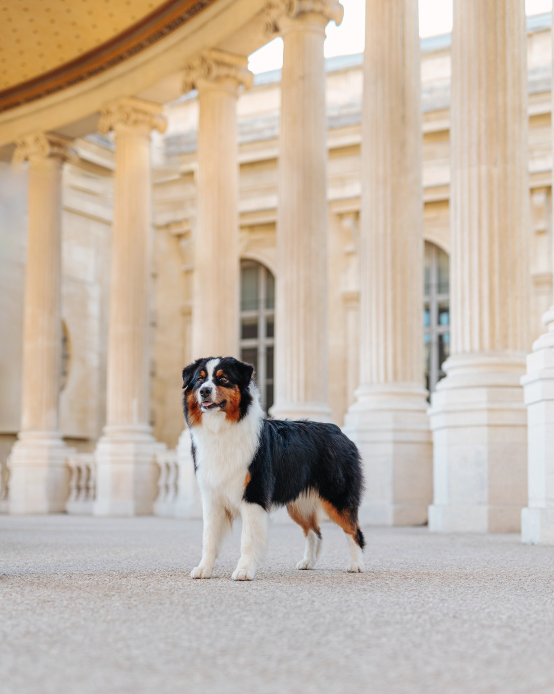 The Stardust Of crystal lake