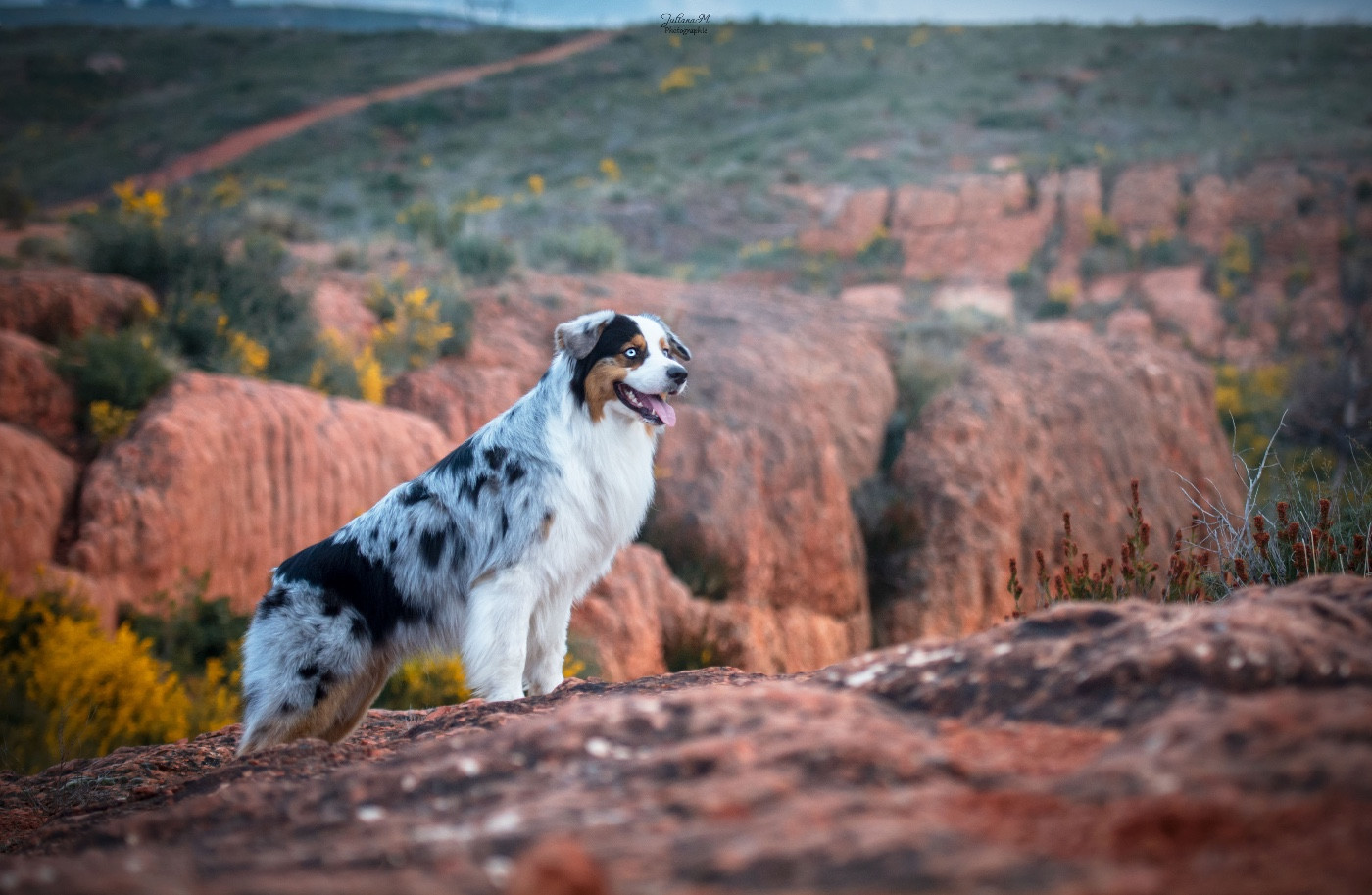 Oakley